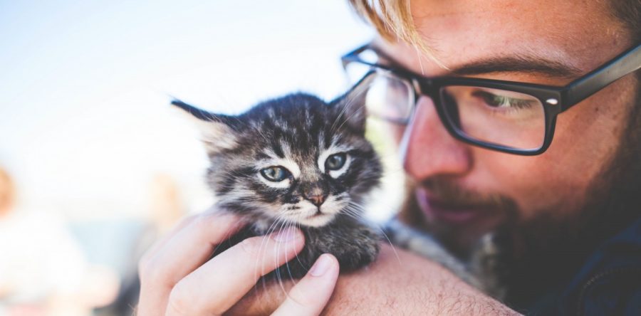Akce na září a říjen 2018